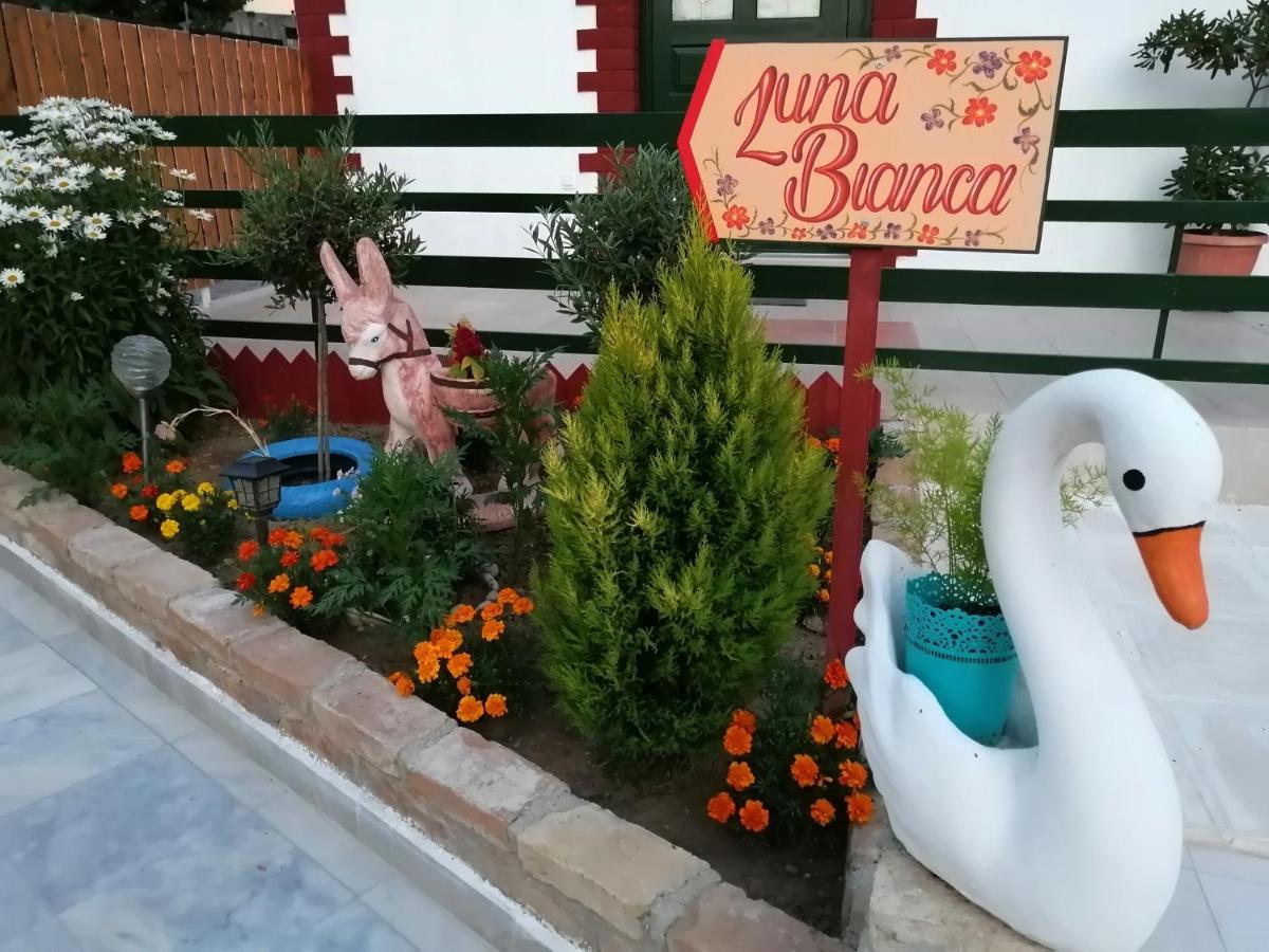 Luna Bianca - Corfu Apartments Екстериор снимка